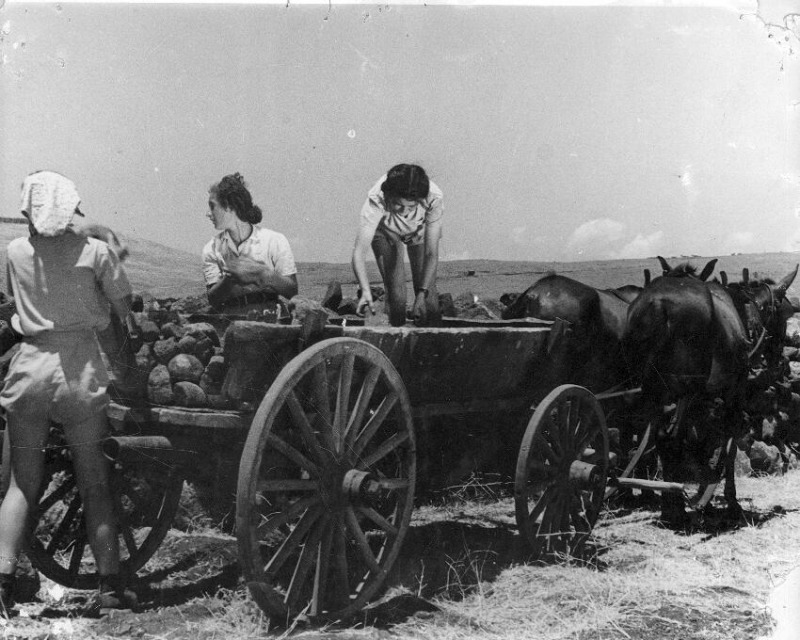 Zionist Pioneers